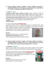 Z ločenim zbiranjem do zmanjšanja količin odpadkov in prijetnejšega okolja 1